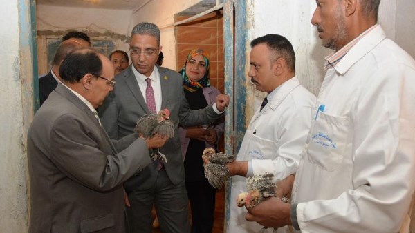 محافظ سوهاج يوجه بتشغيل محطة إكثار الدواجن بكامل طاقتها وتعظيم العائد من المشروعات الإنتاجية