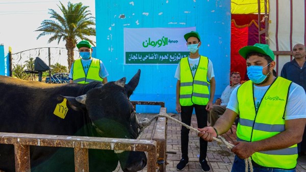 "تضامن المنيا": تخصيص 55 أضحية و50 ألف كيلو لحوم لتوزيعها على الأسر الأولى بالرعاية