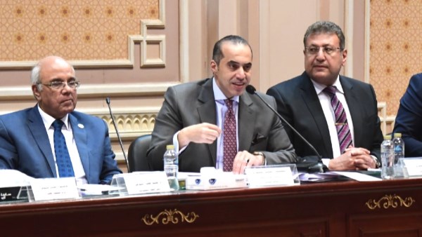 المستشار محمود فوزي 