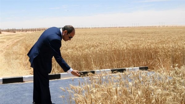  الرئيس عبدالفتاح السيسي