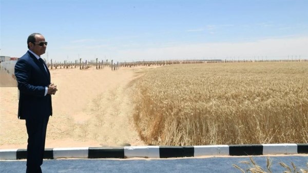 صورة أرشيفية