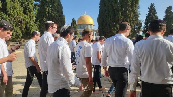 مستوطنون يقتحمون المسجد الأقصى بقيادة عضو كنيست