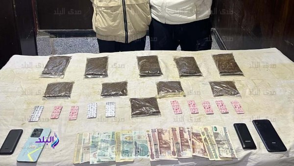 حبس عنصرين جنائيين تخصصا في جلب المواد المخدرة 