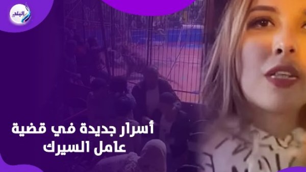 قبل محاكمتها.. ماذا قالت أنوسة كوته بالتحقيقات في هجوم نمر على عامل السيرك؟      