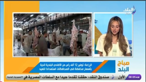 الزراعة ترفع درجة الاستعداد القصوى لعيد الأضحى.. فيديو