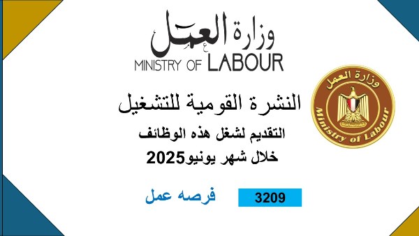 النشرة القومية للتوظيف 