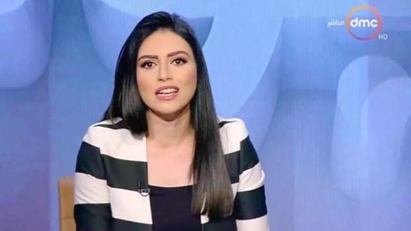 ماهر فرغلى: تم رصد أكثر من 20 جماعة إرهابية مختلفة فى عام حكم الإخوان