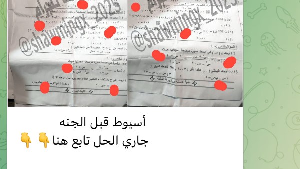 جروبات الغش 