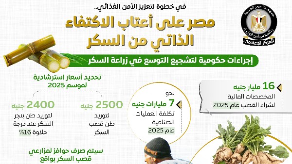 الحكومة: مصر لن تكون بحاجة لاستيراد السكر بداية 2026 