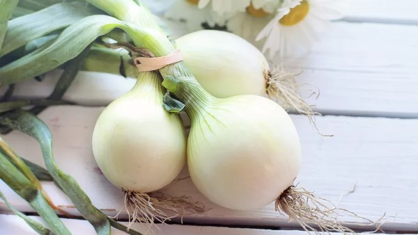 البصل الأخضر وفوائده الصحية المذهلة  