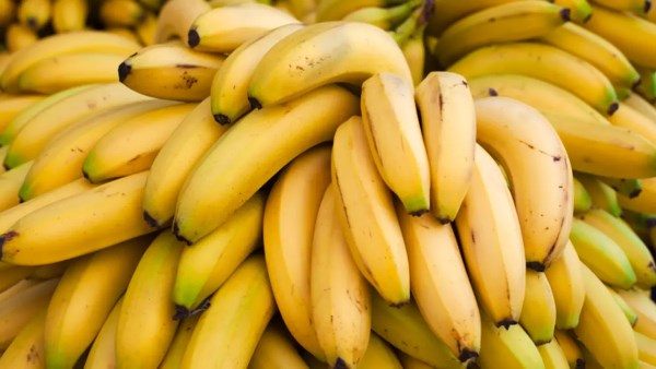 قبل أن تتناول الموز .. انتبه لهذه الآثار الجانبية المحتملة