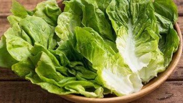 فوائد تناول الخس على الريق