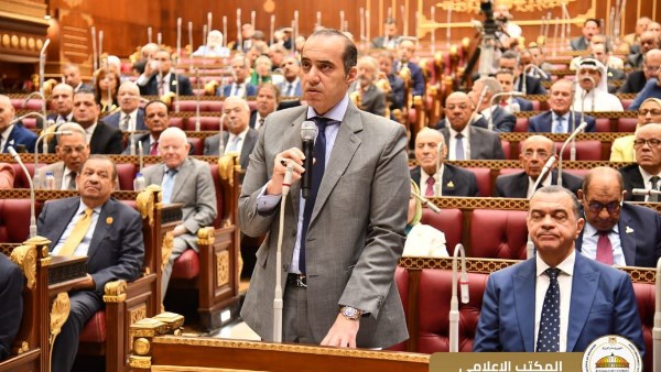 المستشار محمود فوزي
