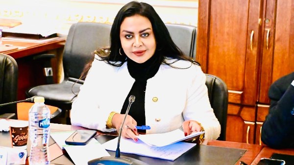 برلمانية توضح مزايا توجيهات الرئيس السيسي في تحقيق توازن الأسعار وتوفير السلع