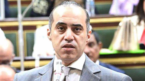  المستشار محمود فوزي
