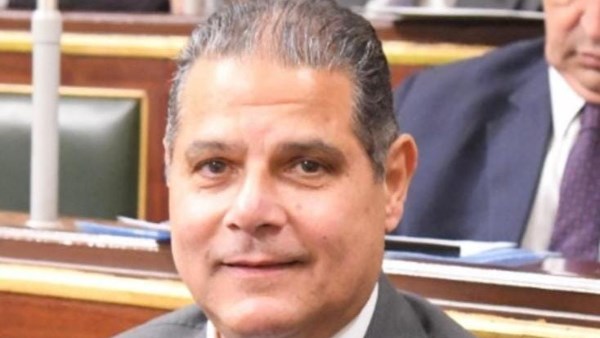 برلماني: توجيهات الرئيس السيسي خريطة طريق لتحقيق الانضباط المالي