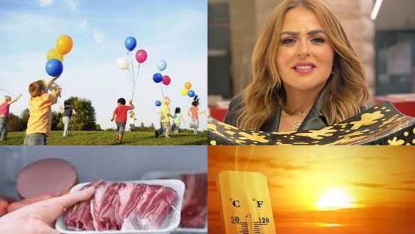 أخبار التوك شو 