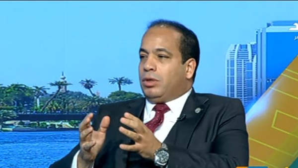 عبد المنعم السيد، مدير مركز القاهرة للدراسات الاقتصادية والاستراتيجية