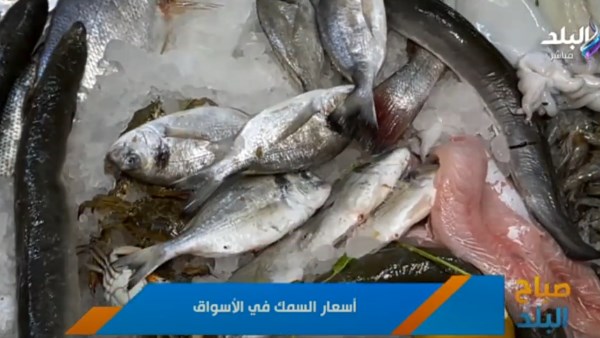 الأسماك 