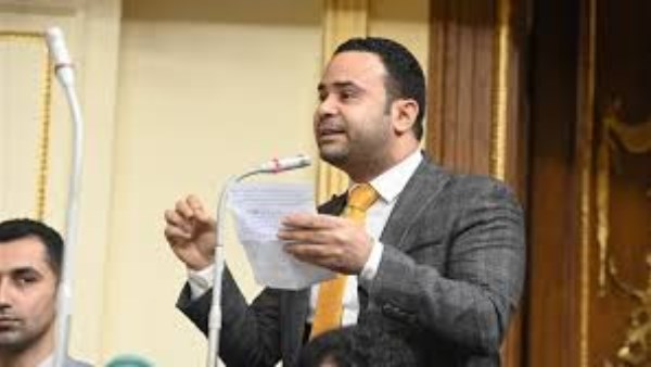 النائب محمود بدر