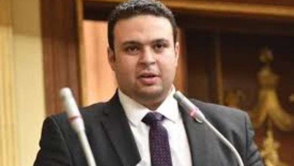 عبد المنعم امام، عضو مجلس النواب