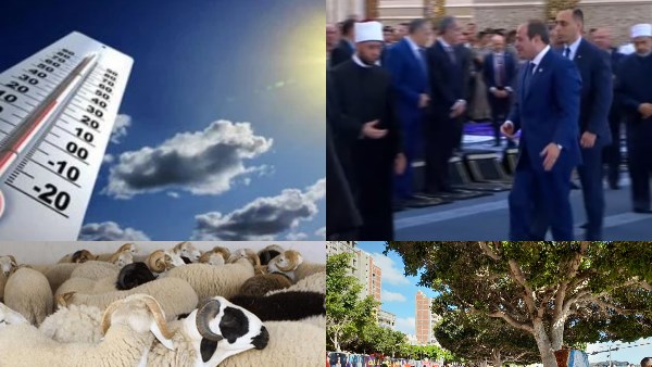 أخبار التوك شو   