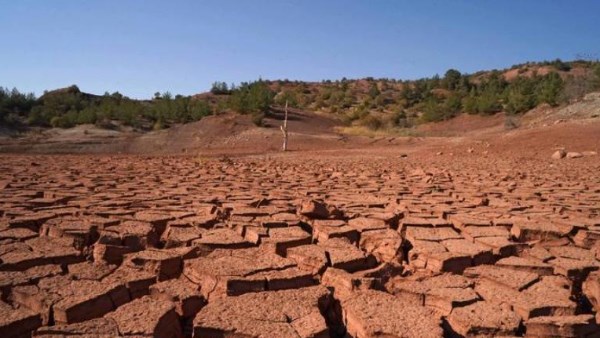 صورة أرشيفية  