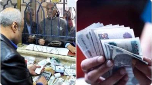 المرتبات 