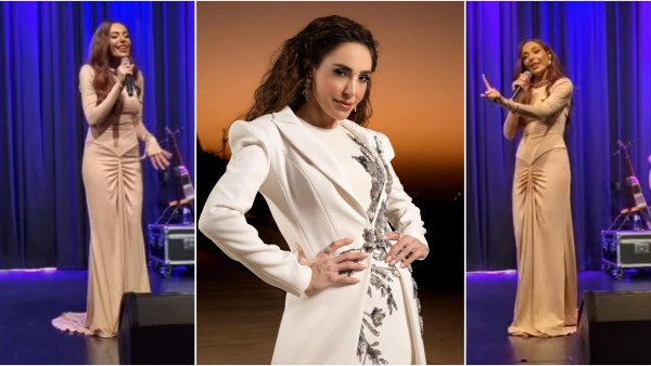 عبير نعمة تشعل حماس جمهورها في حفل ألمانيا