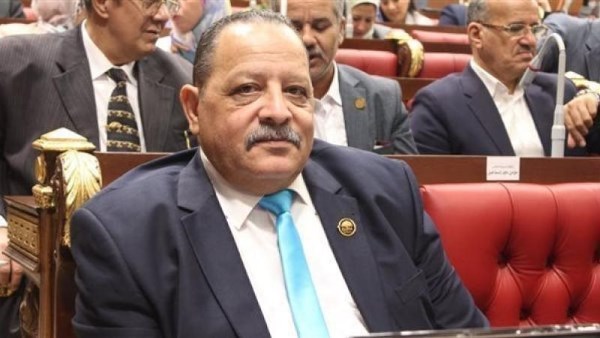 المهندس النائب أحمد شعبان، عضو مجلس الشيوخ
