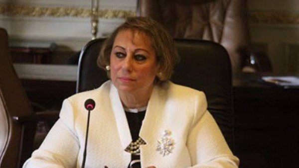النائبة ميرفت الكسان ، عضو لجنة الخطة والموازنة بمجلس النواب
