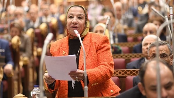 النائبة حياة خطاب: السيسي أنقذ مصر من الظلام والفوضى في 30 يونيو