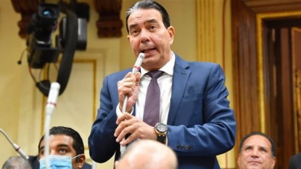 النائب الدكتور أيمن أبو العلا، وكيل لجنة حقوق الإنسان بمجلس النواب