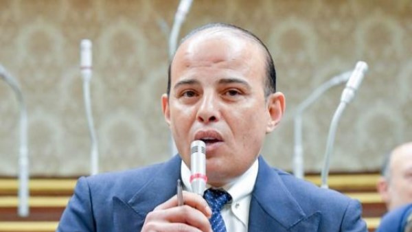  النائب عمرو القطامى، عضو مجلس النواب