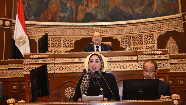 مزاح داخل مجلس الشيوخ بسبب عبارة 