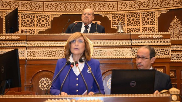  النائبة هبة شاروبيم عضو مجلس الشيوخ