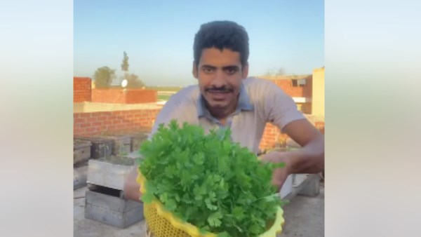 فيديو أحمد السمالوسي