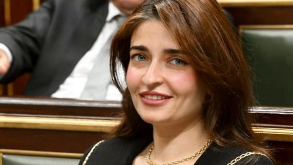 إيرين سعيد، عضو لجنة الصحة بمجلس النواب 