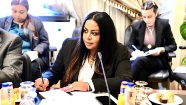 نيفين حمدي، عضو لجنة الشئون الافريقية بمجلس النواب 