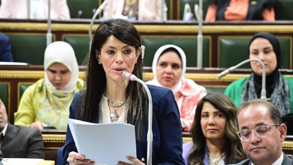 وزيرة التخطيط