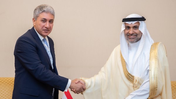 وزير السياحة والآثار 