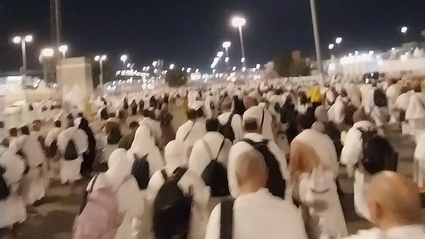 حجاج شركات السياحة 