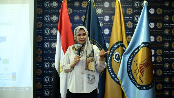 الرقابة المالية