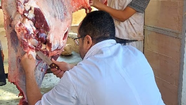 مجازر الجيزة