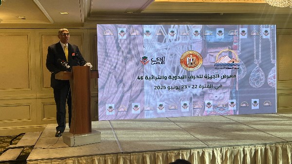 المهندس عادل النجار محافظ الجيزة