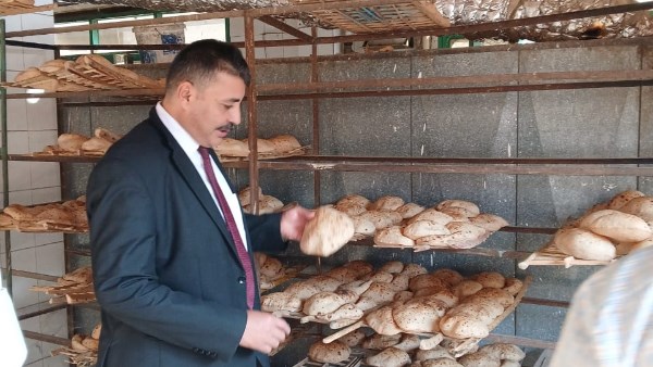 تحرير 193 محضر تمويني وضبط لحوم مذبوحة خارج السلخانة ومجهولة المصدر  بالمنوفية