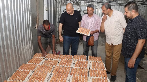 سكرتير عام بني سويف