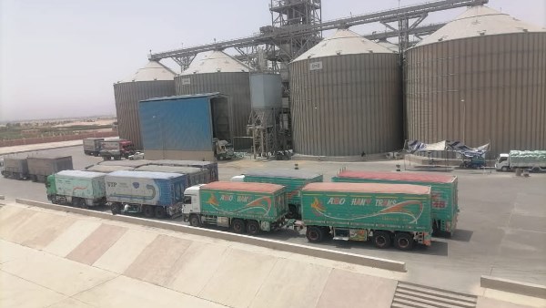 توريد 489 ألف طن قمح منذ بدء موسم 2025 في المنيا