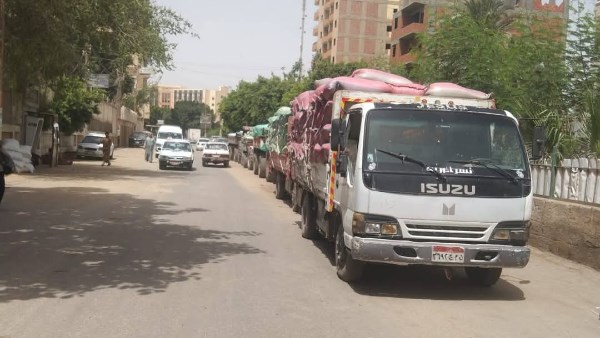 محافظ المنيا: توريد 502 ألف طن قمح