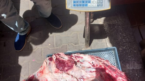 ارشفيه 